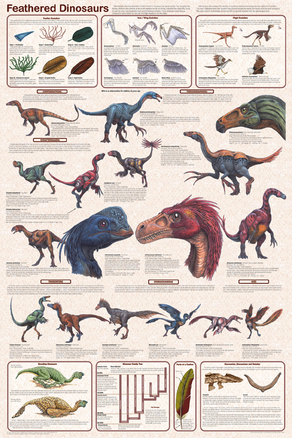 Dinosaur Species Poster