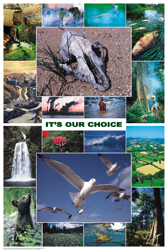 Its Our Choice Ecology Poster